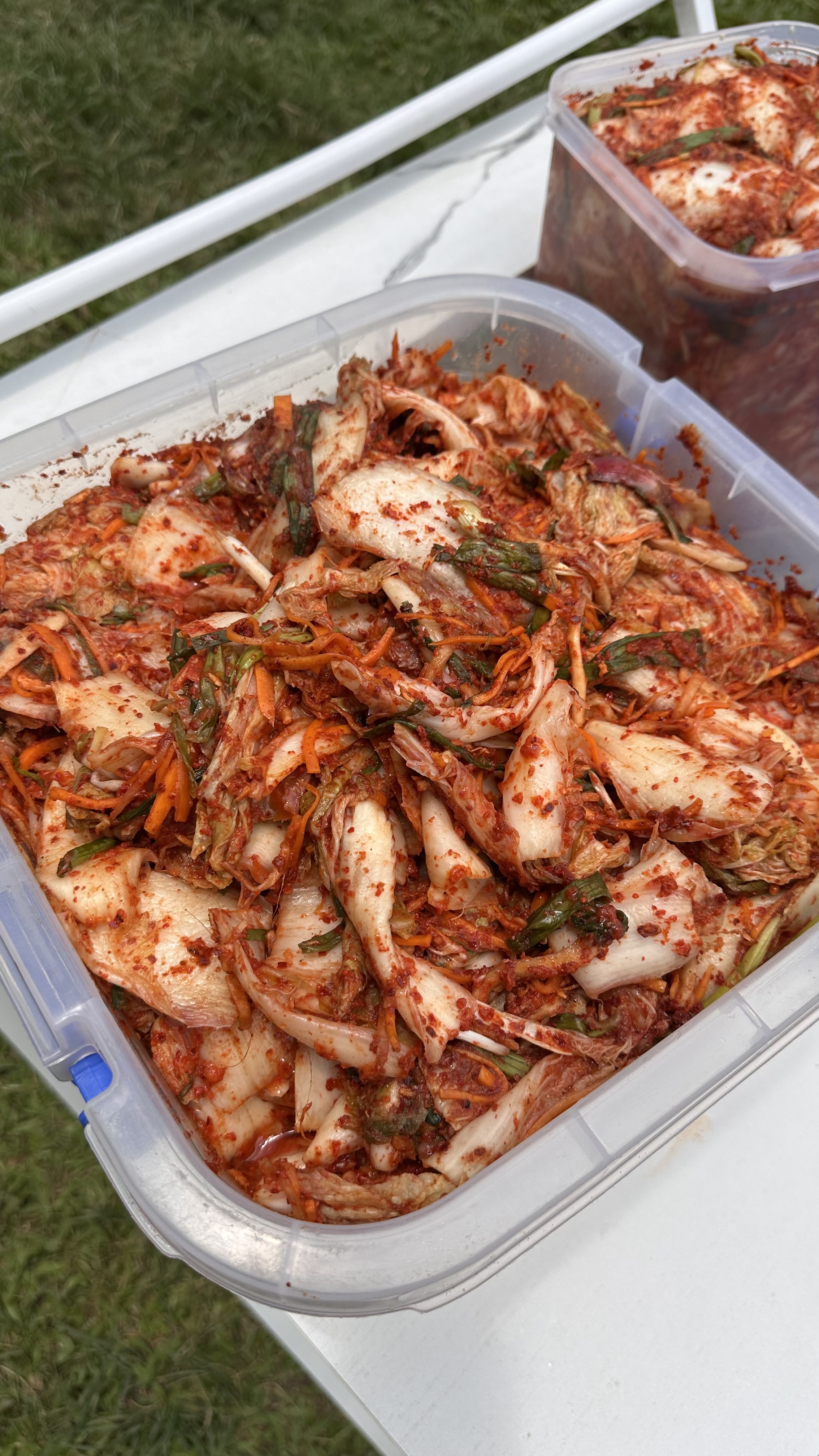 Gallery image for Napa Kimchi (Seasonal) – (250g)