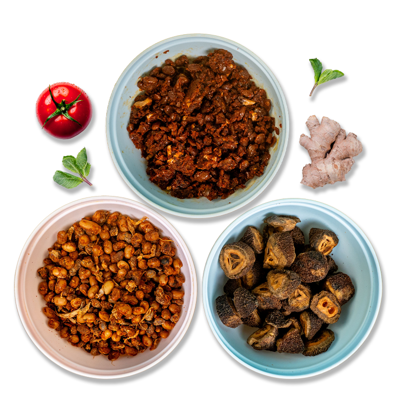 Premium Picks for 2026